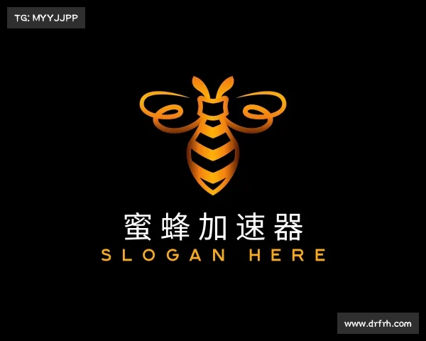 介绍蜜蜂加速器